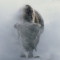 Ghostly bison emerging from steam