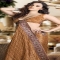 Brown Banarsi Silk Saree With Blouse