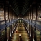 Trinity Library in Dublin, Ireland