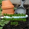 Vegetable Gardening 101 - Great Gardening Ideas