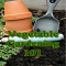 Vegetable Gardening 101 - Unassigned