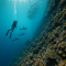 Why Palau Is Still the Most Beautiful Dive Destination I’ve Seen - Best Scuba Diving Trips